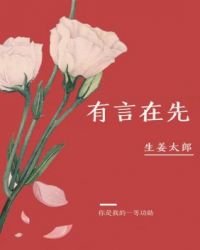 有言在先小说主要情节